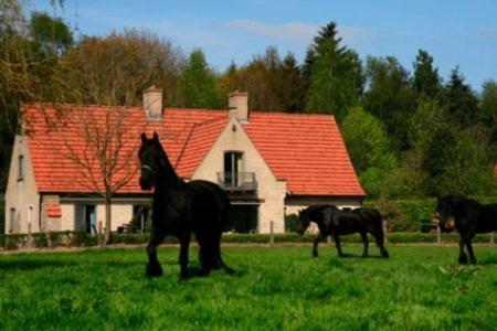 Hertsberge B&B Heerlijkhyd מראה חיצוני תמונה